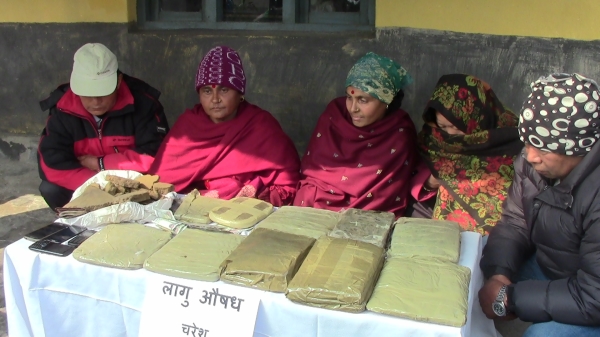 १५ किलो चरेससहित पाँच जना सराङकोटमा समातिए