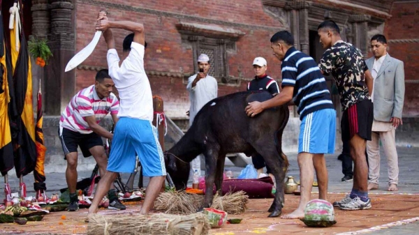 भारतमा महिसासुर ,नेपालमा खड्ग  मगर मार हान्नु !