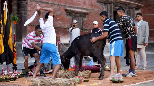 बौद्ध मगरहरुलाई दसैं विषयमा संदेश। दसैंमा टिका किन नलगाउने ?