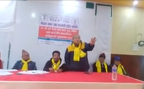 जहा तही फुटाउदै हिंड्ने यीनै हुन।