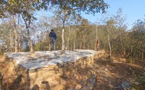 गाईवस्तु, बाख्रा, जंगली जिवजनवार र मानिसकाे चाहिपाहि हुने ठाउँ र वाहाद्वाहा हुनुपर्ने जंगलमा तारजालि लगाउनु अनाैंठाे भएन र! यी दुवै बनका उपभोक्ताहरूले दुवै बनमा घाँसदाउरा र चरनवर्तन नगरि सुखै छैन