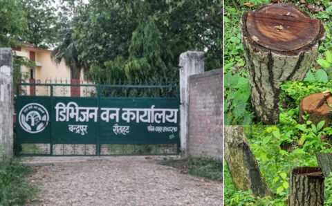 रौतहटमा तीव्र रूपमा बढ्दो काठ तस्करी, संरक्षणको सट्टा वन कार्यालय ‘कोठे बैठक’मै सीमित
