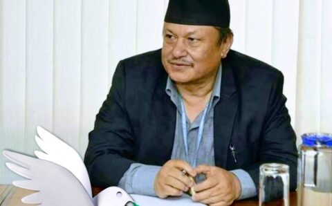 अन्तरिम सरकारमा साना राजनीतिक दलहरूको उपस्थिति: आवश्यकता, कारण र सम्भाव्यता