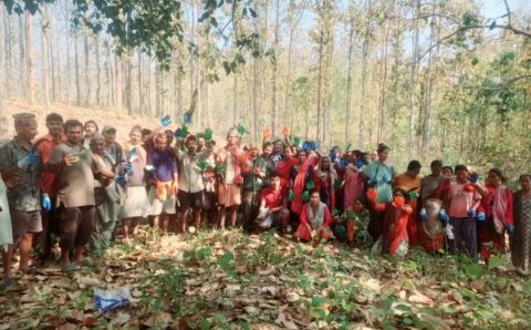 संरक्षण र दिगो व्यवस्थापनबाट सिन्धुलीको बिचित्रा ठाकुर सामुदायिक वन जिल्लाकै नमुना बन्दै